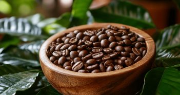 Découverte du café en grains Honduras décaféiné bio : un goût exceptionnel sans compromis
