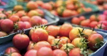 Acheter via une épicerie en ligne : une solution aux avantages multiples