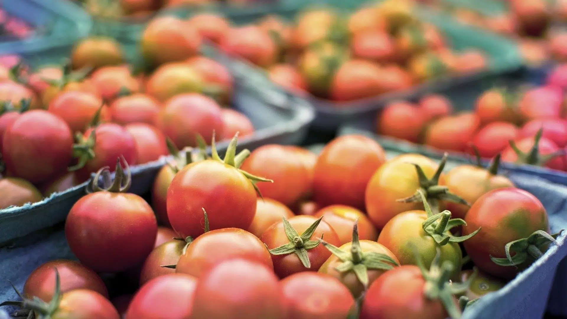 Acheter via une épicerie en ligne : une solution aux avantages multiples