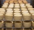 Des équipements dédiés à la fromagerie