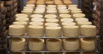 Des équipements dédiés à la fromagerie