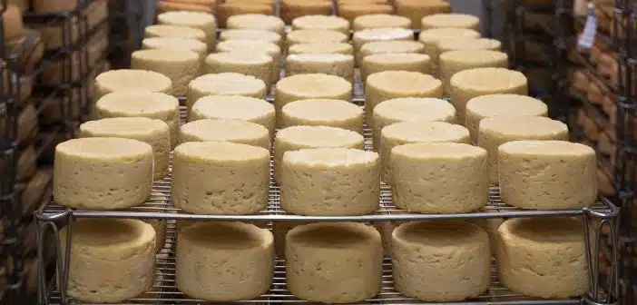 Des équipements dédiés à la fromagerie