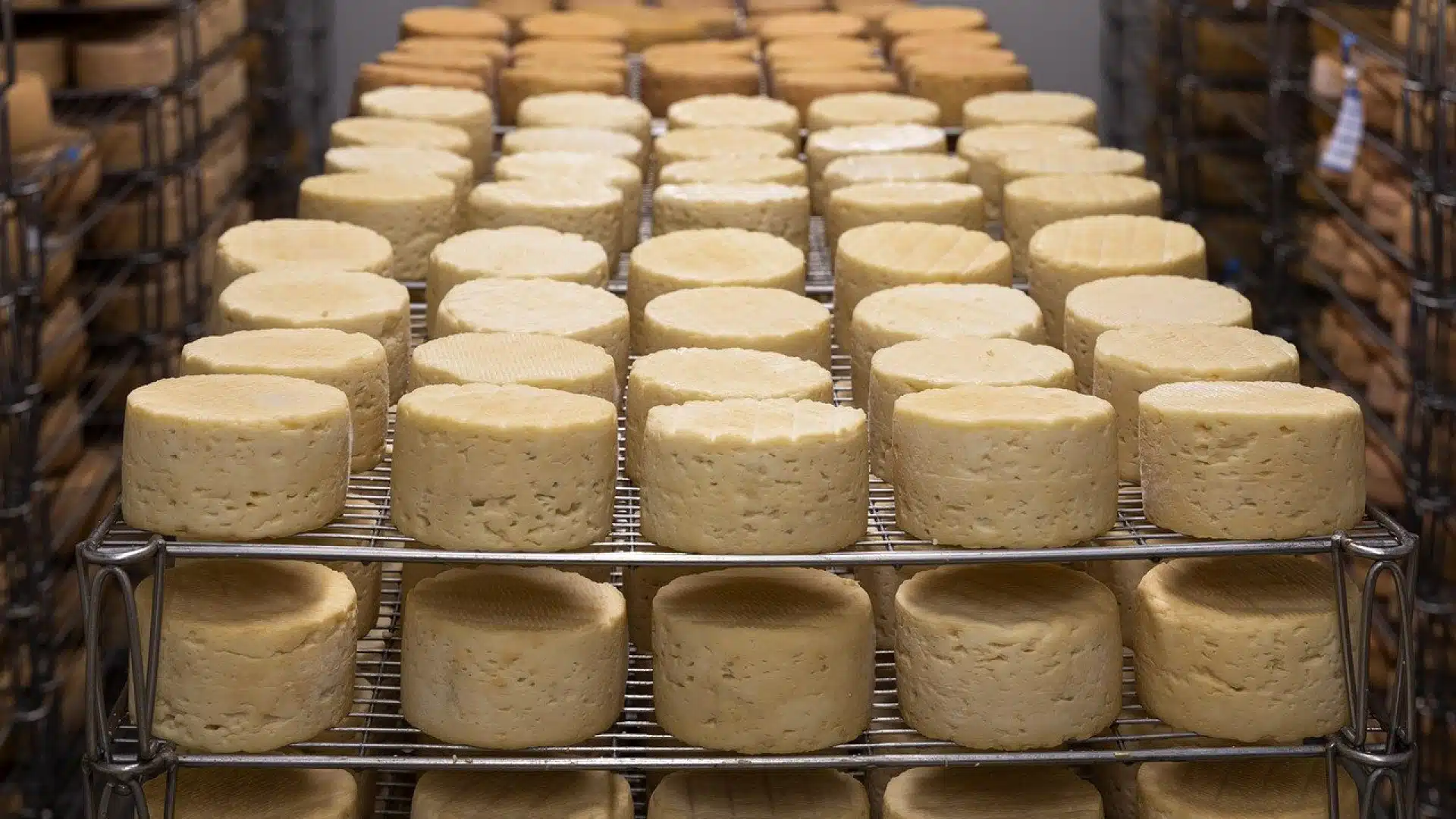 Des équipements dédiés à la fromagerie