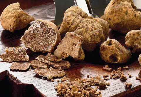 truffe blanche